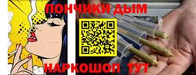 крисы Кулебаки