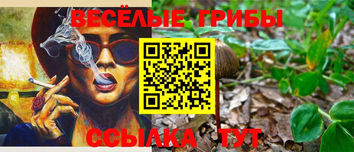 Урюпинск  Галлюциногенные грибы MAGIC MUSHROOMS  Галлюциногенные грибы MAGIC MUSHROOMS  Вход с VPN 